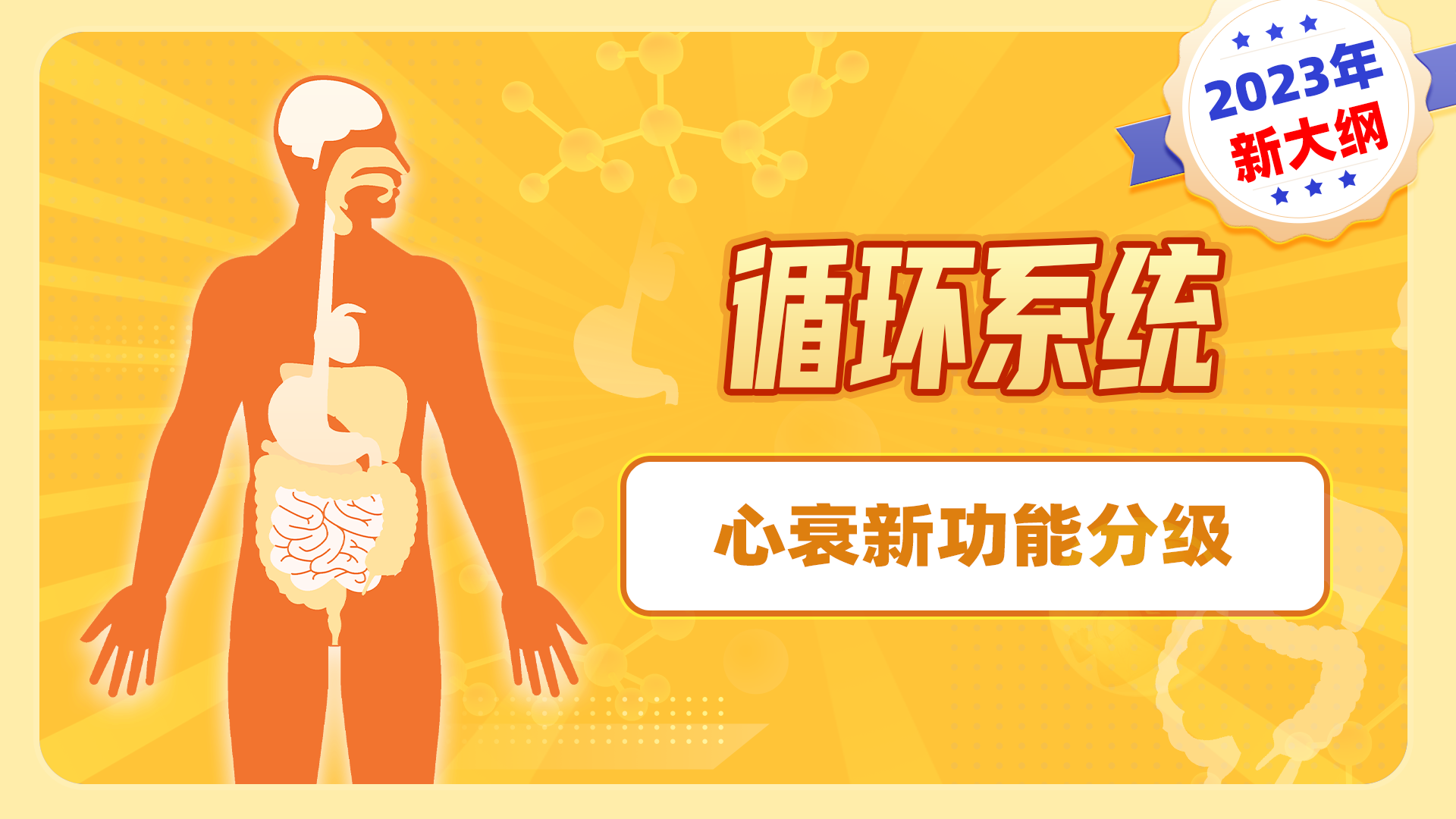 【2023年新大纲】循环系统-心衰新功能分级