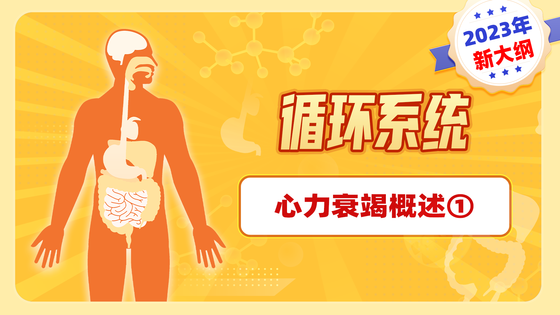 【2023年新大纲】循环系统-心力衰竭概述①