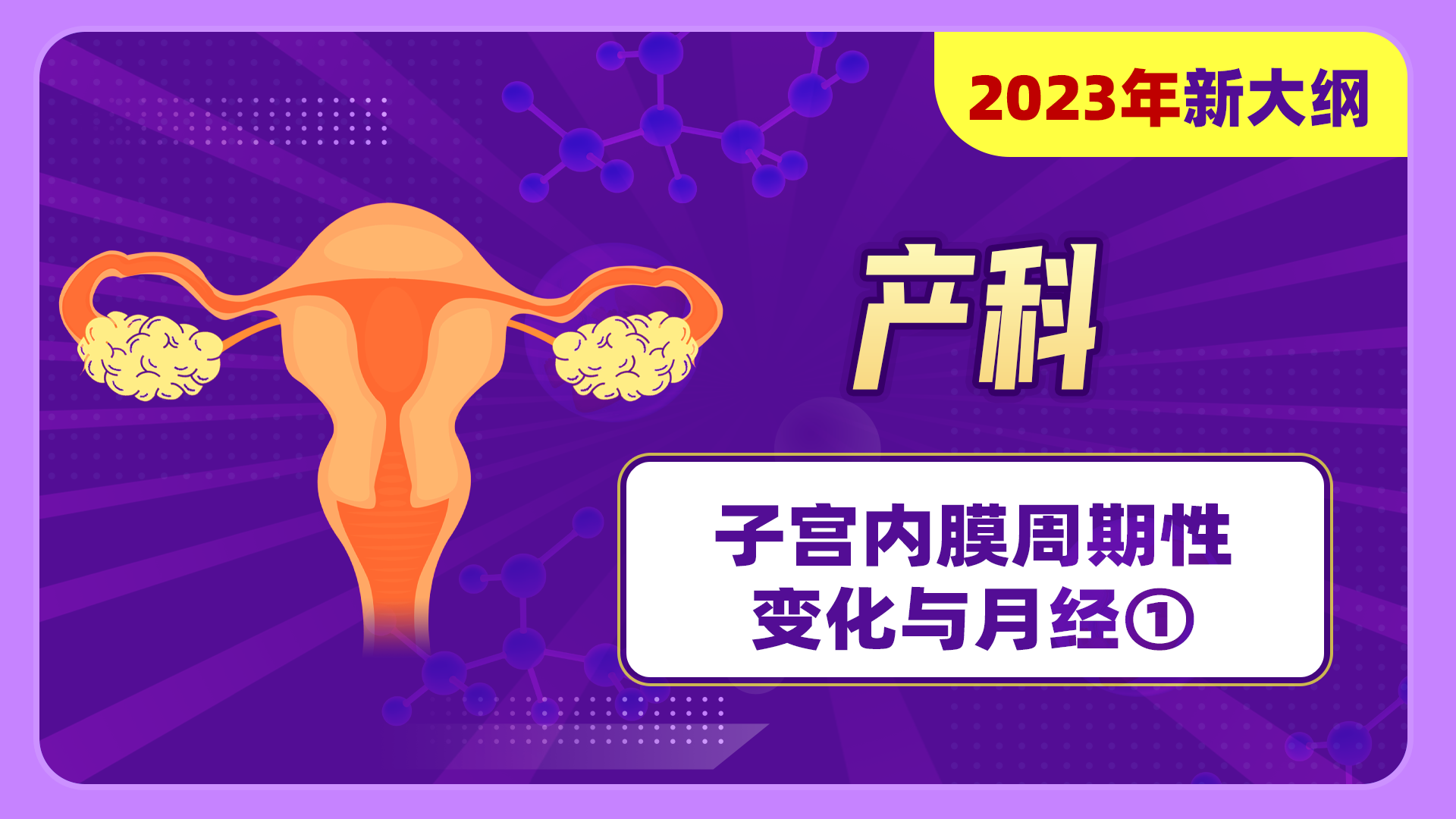 【2023年新大纲】女性生殖系统（产科）-子宫内膜周期性变化与月经①