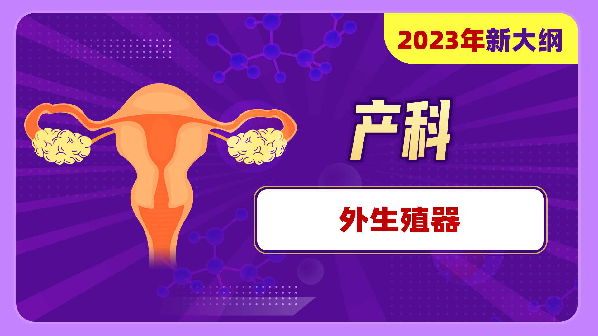 【2023年新大纲】女性生殖系统（产科）-外生殖器