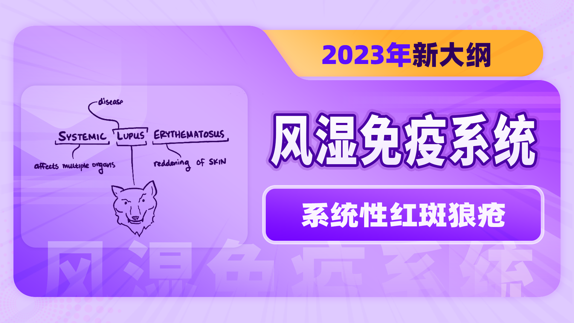 【2023年新大纲】风湿免疫系统-系统性红斑狼疮