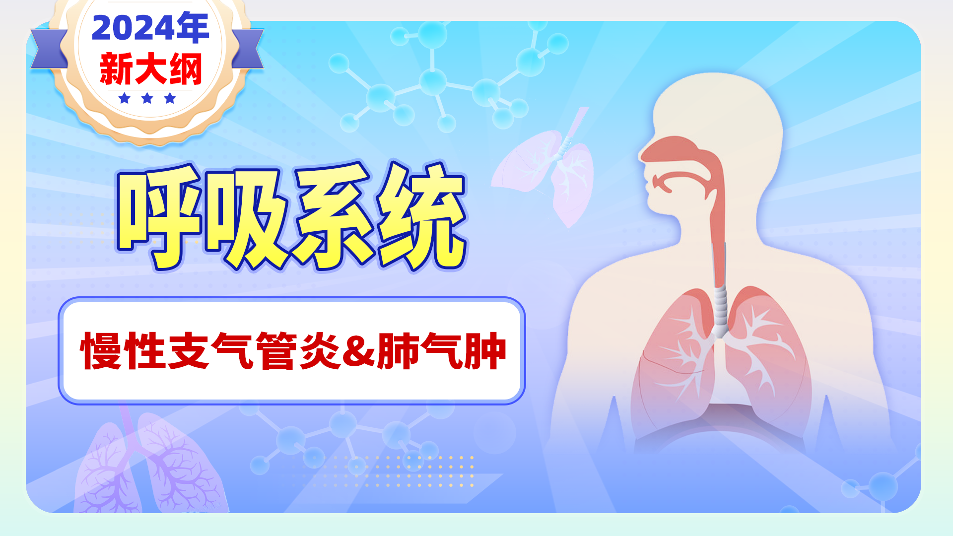 【2024新大纲】呼吸系统-慢性支气管炎及肺气肿