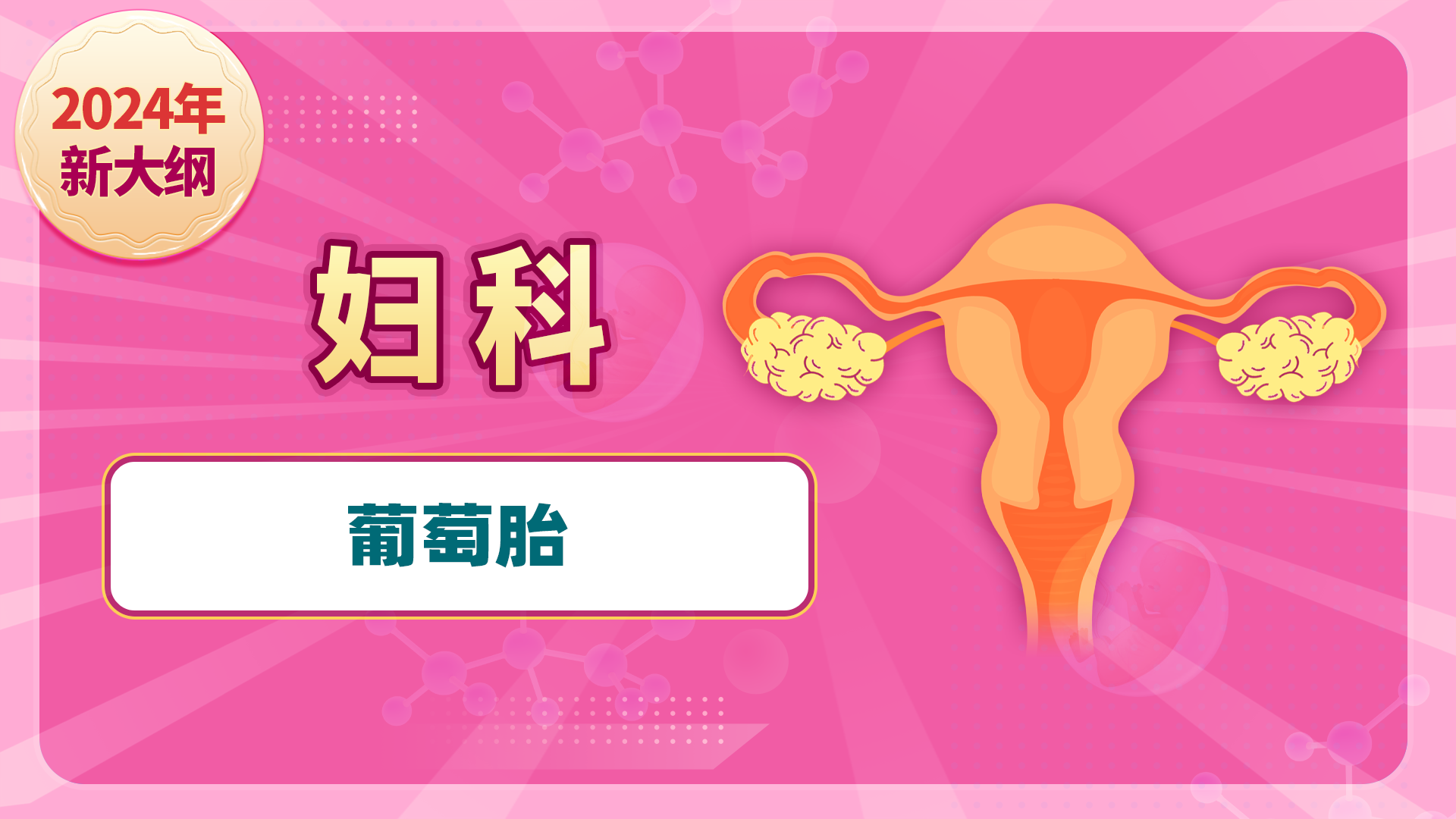 【2024新大纲】女性生殖系统（妇科）-葡萄胎