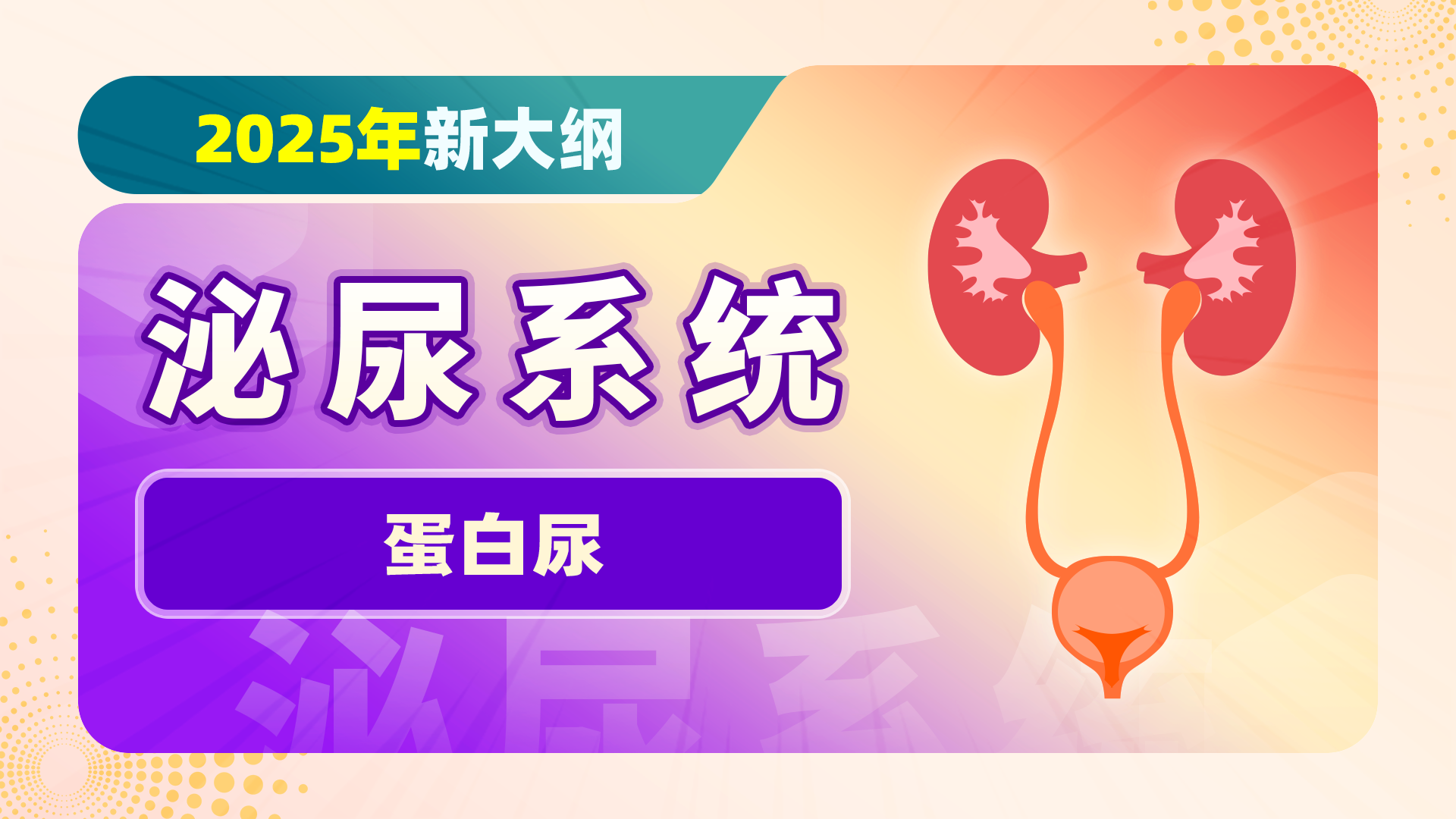 【2025新大纲】泌尿系统-蛋白尿