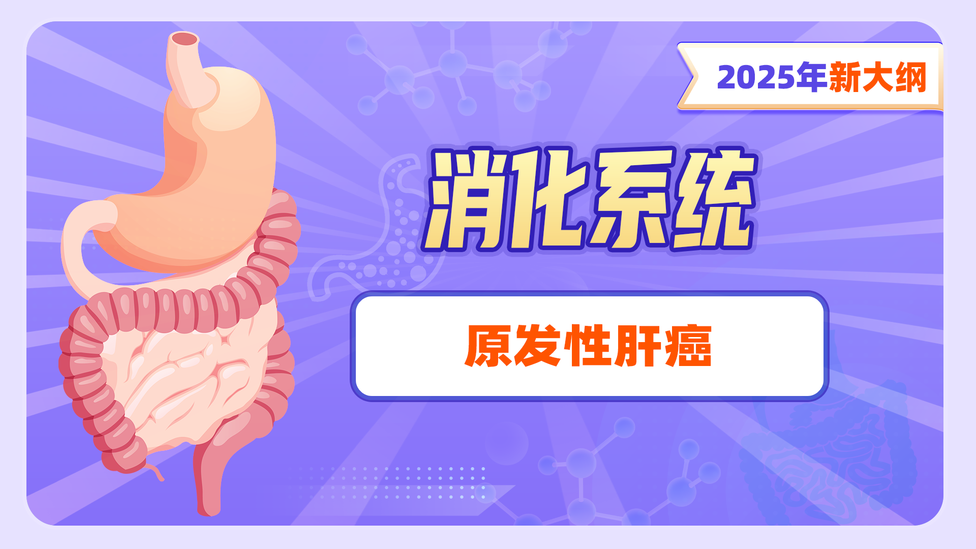 【2025年新大纲】消化系统-原发性肝癌