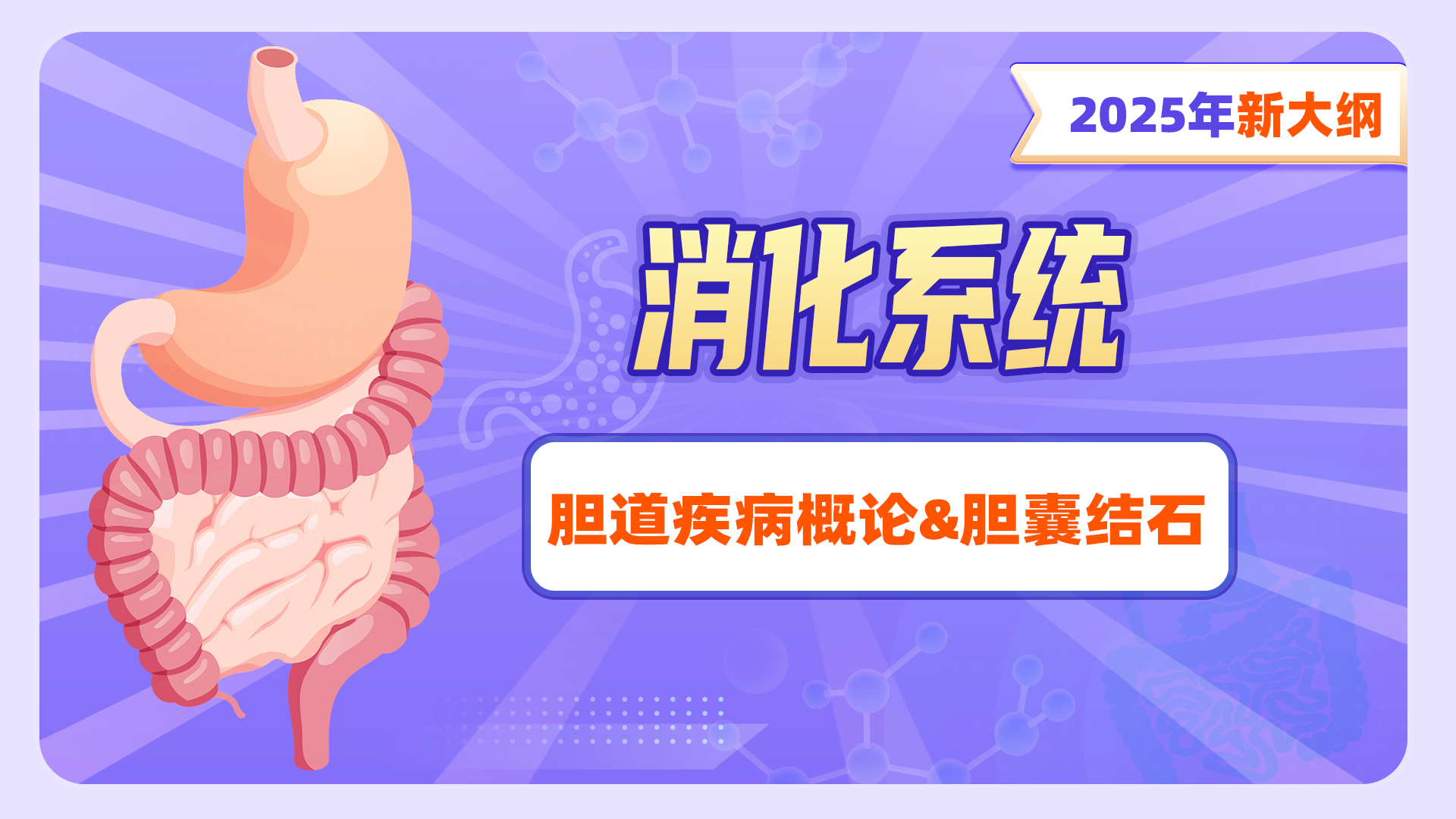 【2025年新大纲】消化系统-胆道疾病概论&胆囊结石
